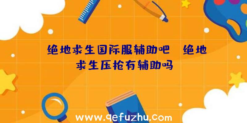 「绝地求生国际服辅助吧」|绝地求生压枪有辅助吗